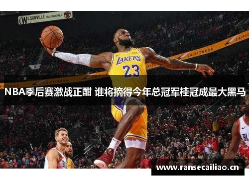 NBA季后赛激战正酣 谁将摘得今年总冠军桂冠成最大黑马