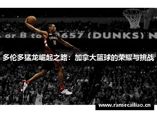 多伦多猛龙崛起之路：加拿大篮球的荣耀与挑战