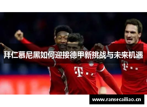 拜仁慕尼黑如何迎接德甲新挑战与未来机遇