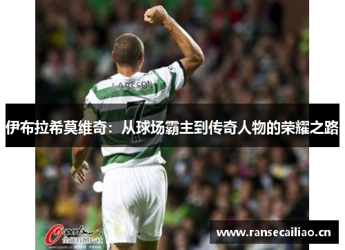 伊布拉希莫维奇：从球场霸主到传奇人物的荣耀之路